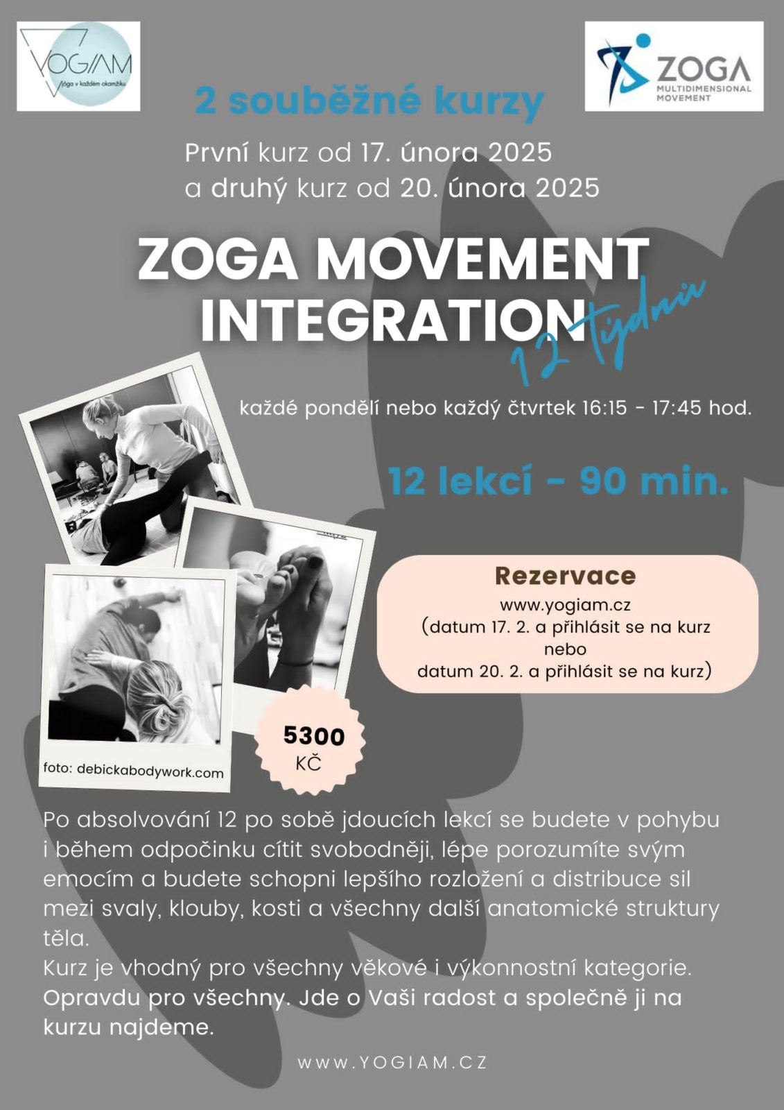ZOGA MOVEMENT INTEGRATION - KURZY