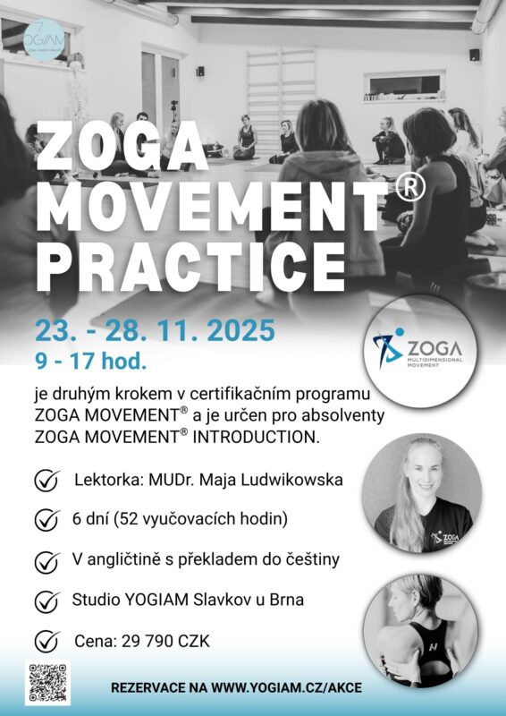 ZOGA MOVEMENT PRACTICE